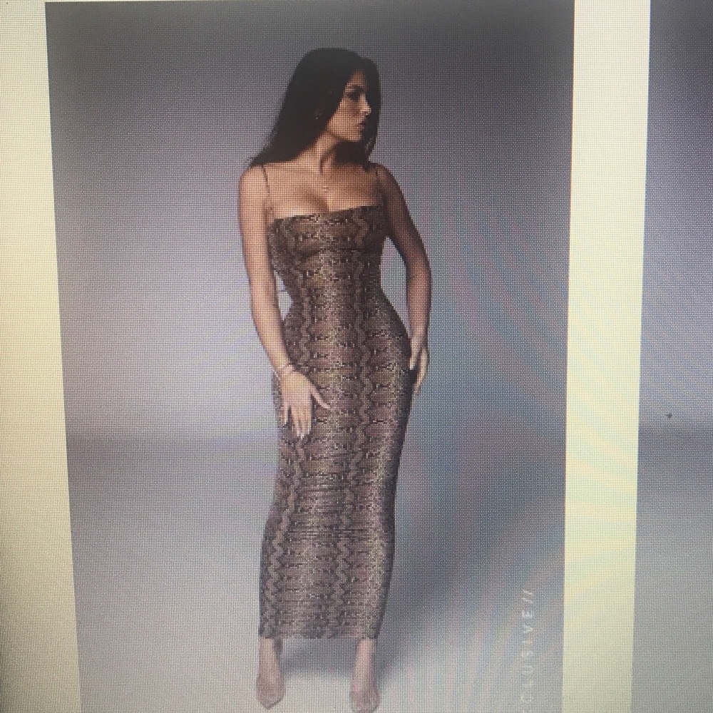 Long Snakeskin Dress